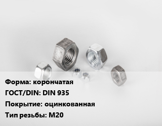 Гайка корончатая DIN 935 оцинкованная М20, упаковка 40 шт цена от 9461 Тг / кг, где купить, условия доставки в Шымкенте и Южно-Казахстанской области